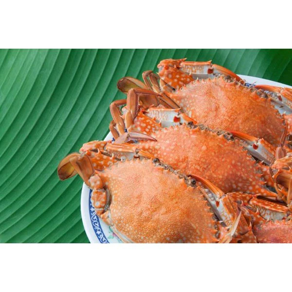 Whole Dungeness Crab - Image 3