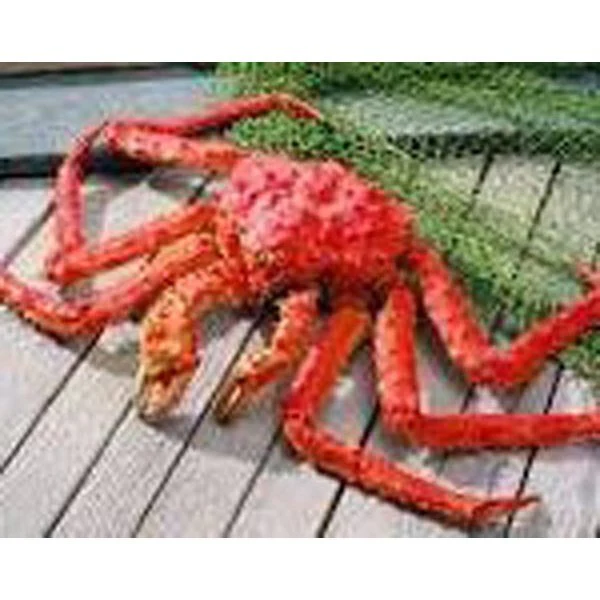 Super Gigantic Red King Crab 10lbs - Image 4